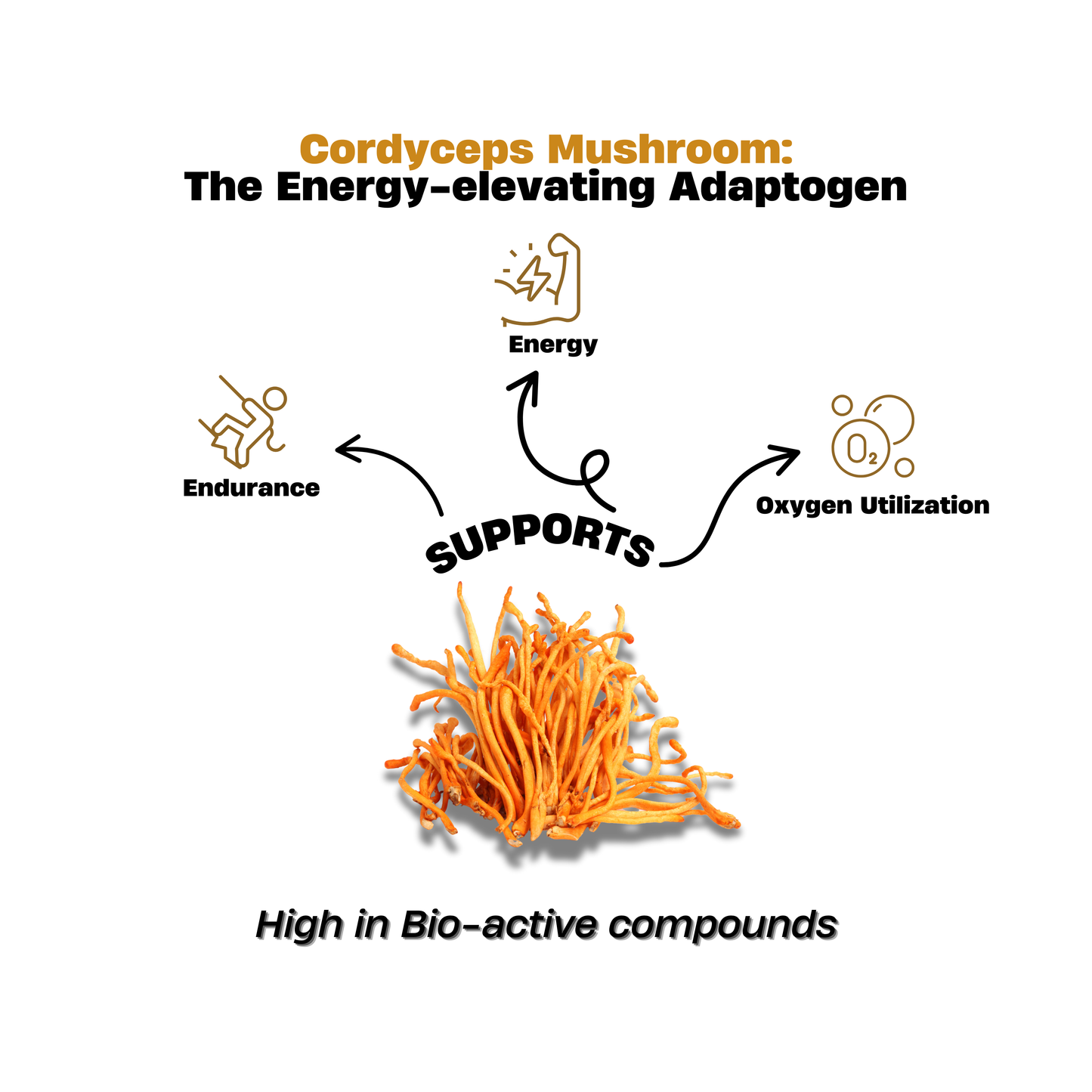 Cordyceps Mushroom Capsules 1000MG – Energy, Stamina & Vitality | Hi Shroomz™