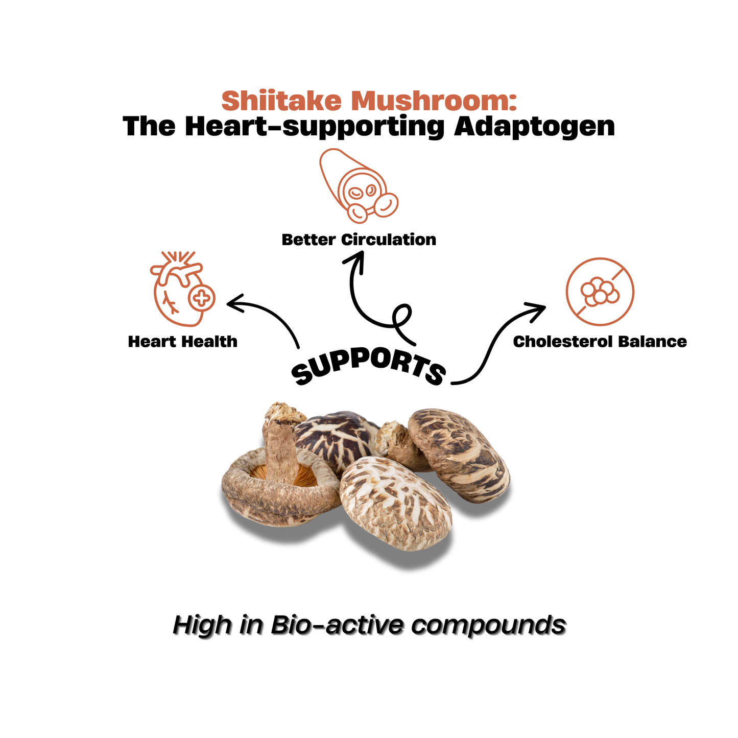 Shiitake Mushroom Extract Drops 30ml – Cardio Support