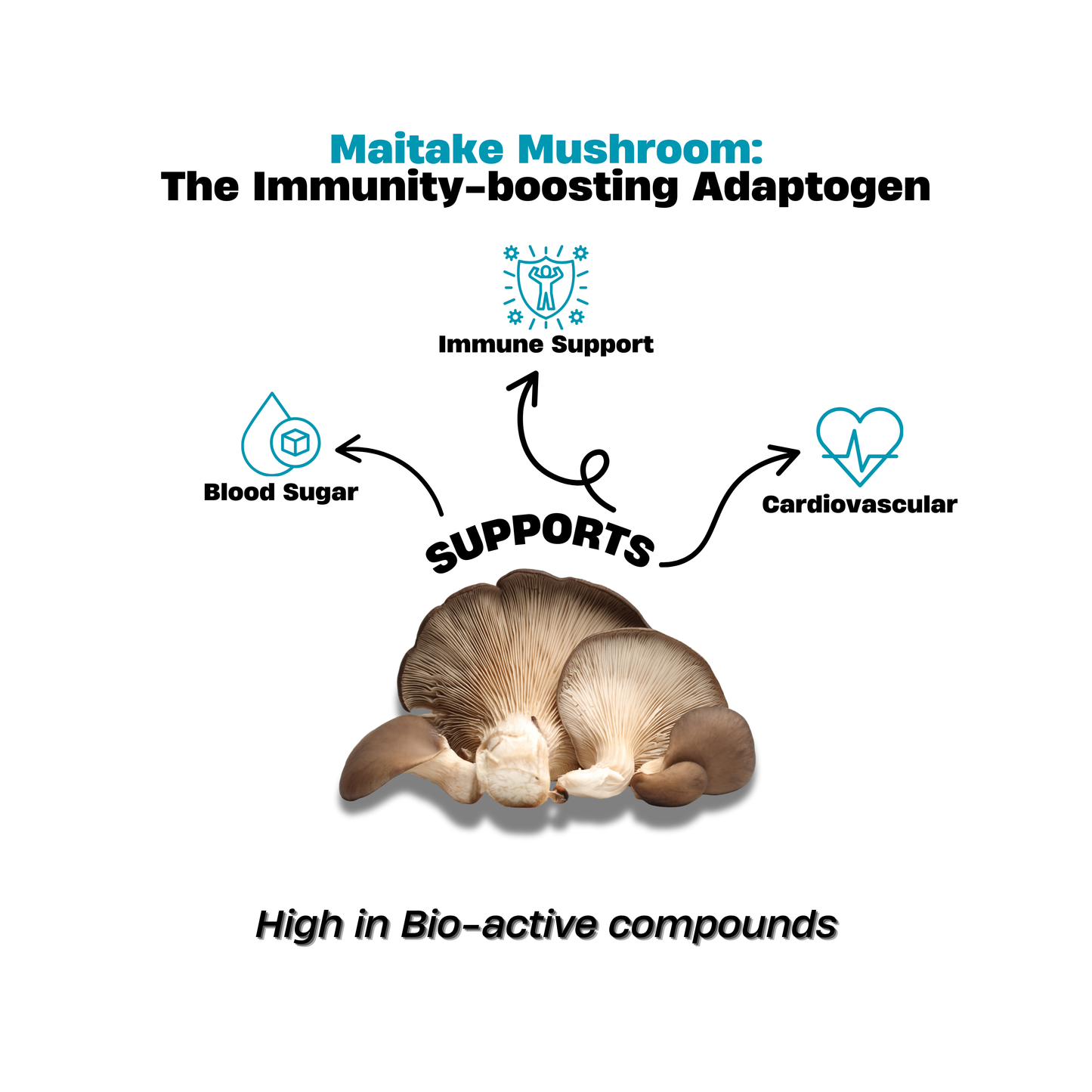 Maitake Mushroom Extract Powder 50g – Metabolism Support