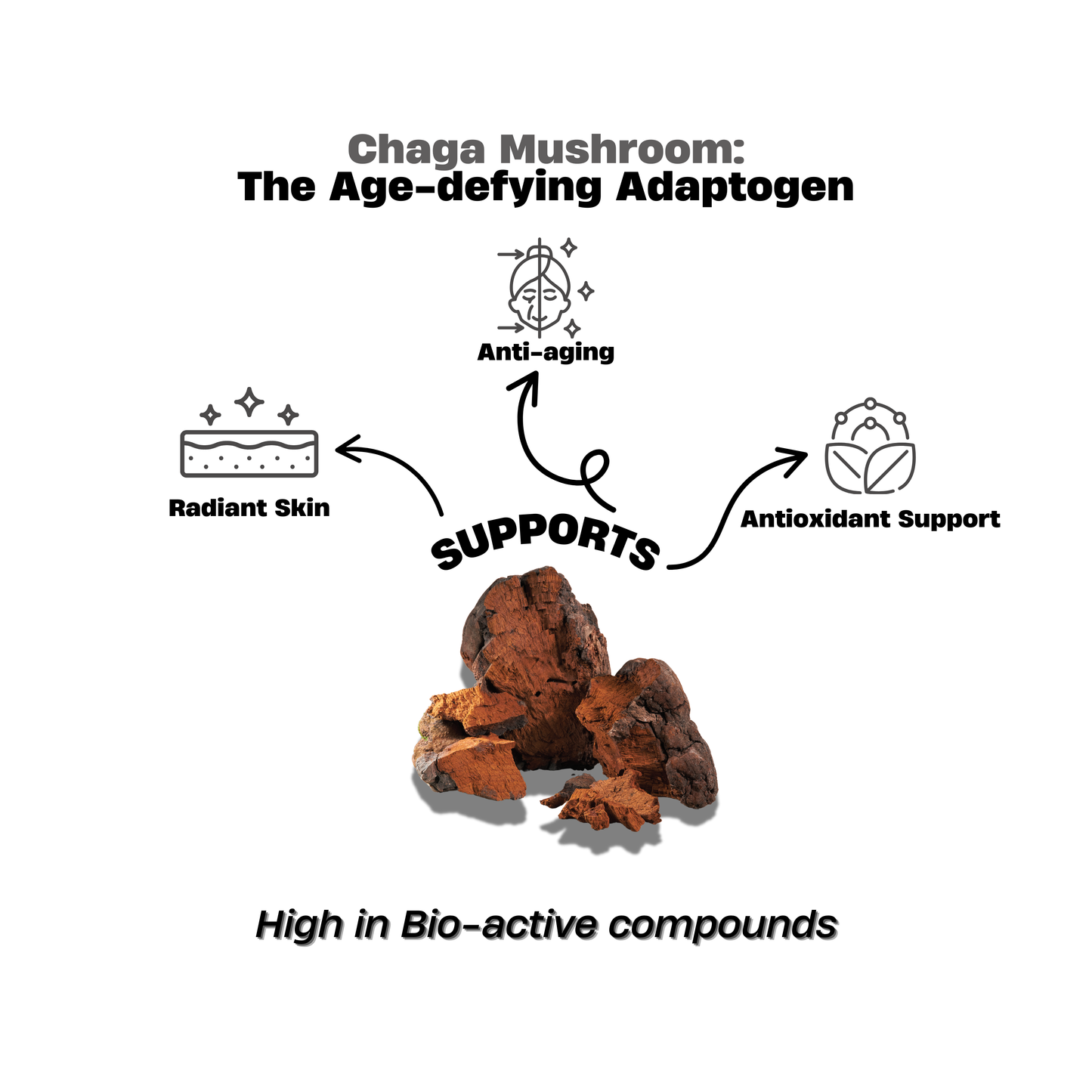 Chaga Mushroom Extract Drops 30ml – Skin Glow & Detox Support