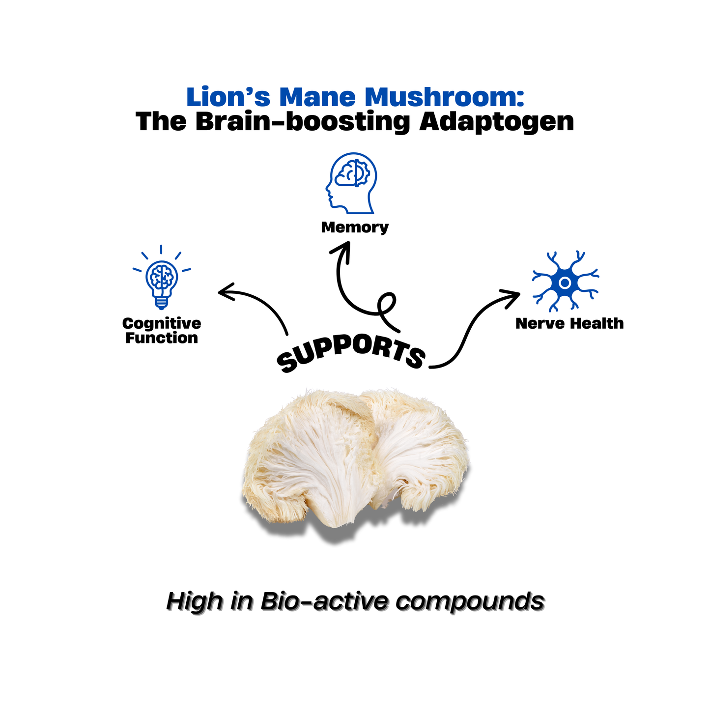 Lion’s Mane Mushroom Extract Powder 50g – Sharper Focus from the Himalayas