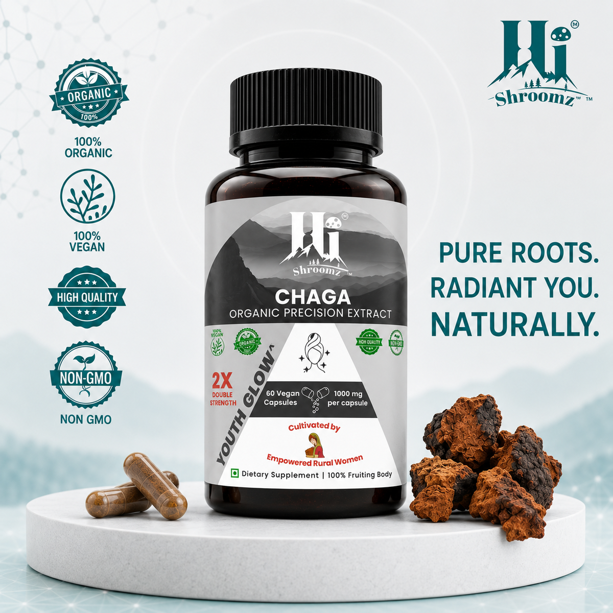 Hi Shroomz Chaga Organic Precision Extract with vegan capsules, 1000 mg per capsule and 100% Chaga fruiting body